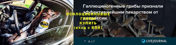 мяу мяу мука Горно-Алтайск