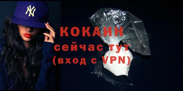 мяу мяу мука Горно-Алтайск