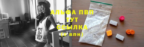 мяу мяу мука Горно-Алтайск