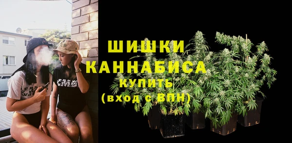 мяу мяу мука Горно-Алтайск