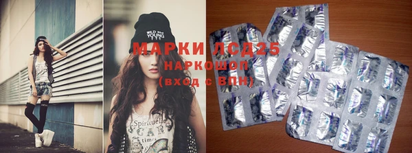 мяу мяу мука Горно-Алтайск