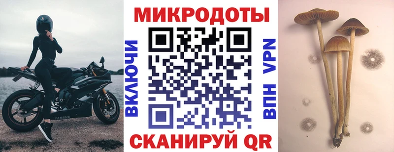 Купить где  Шадринск  Псилоцибиновые грибы ЛСД 